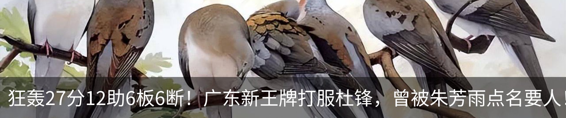 新闻中心